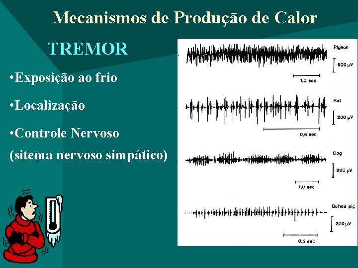 Mecanismos de Produção de Calor TREMOR • Exposição ao frio • Localização • Controle