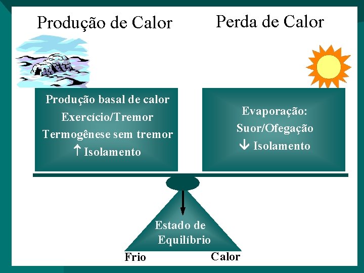 Produção de Calor Produção basal de calor Exercício/Tremor Termogênese sem tremor Isolamento Perda de