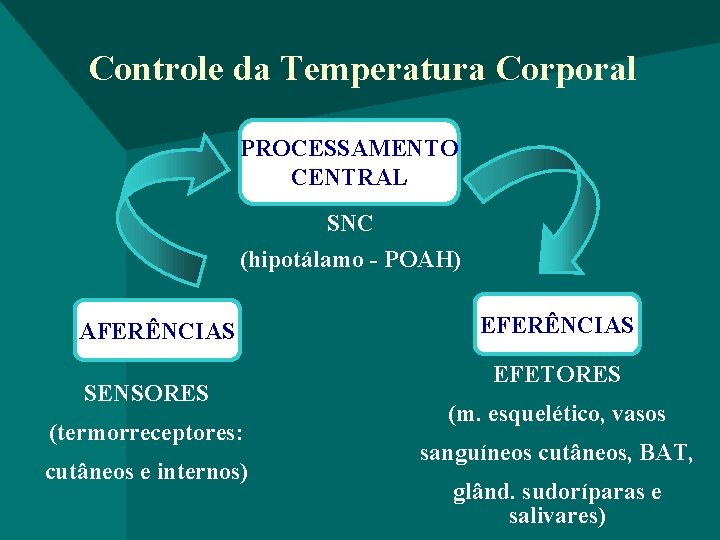 Controle da Temperatura Corporal PROCESSAMENTO CENTRAL SNC (hipotálamo - POAH) AFERÊNCIAS SENSORES (termorreceptores: cutâneos
