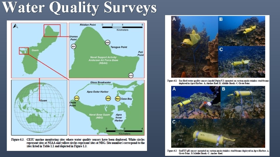 Water Quality Surveys 