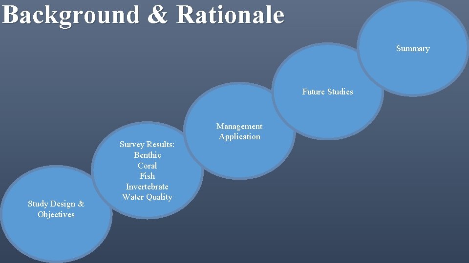 Background & Rationale Summary Future Studies Study Design & Objectives Survey Results: Benthic Coral