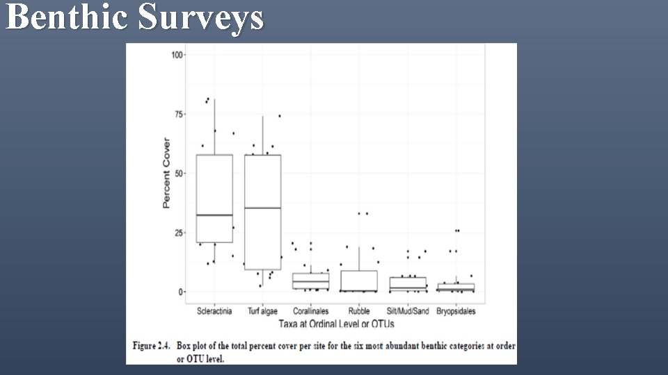 Benthic Surveys 