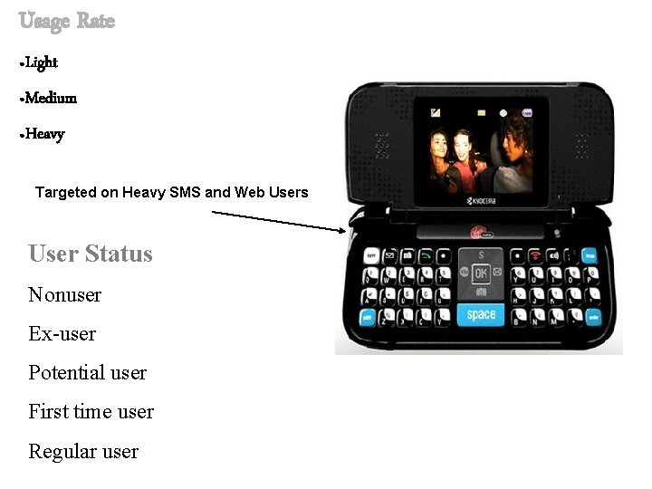 Usage Rate ● Light ● Medium ● Heavy Targeted on Heavy SMS and Web