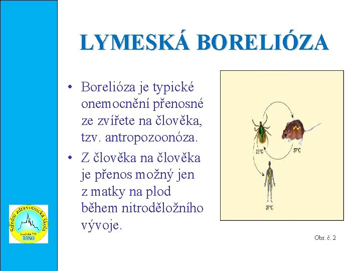 LYMESKÁ BORELIÓZA • Borelióza je typické onemocnění přenosné ze zvířete na člověka, tzv. antropozoonóza.