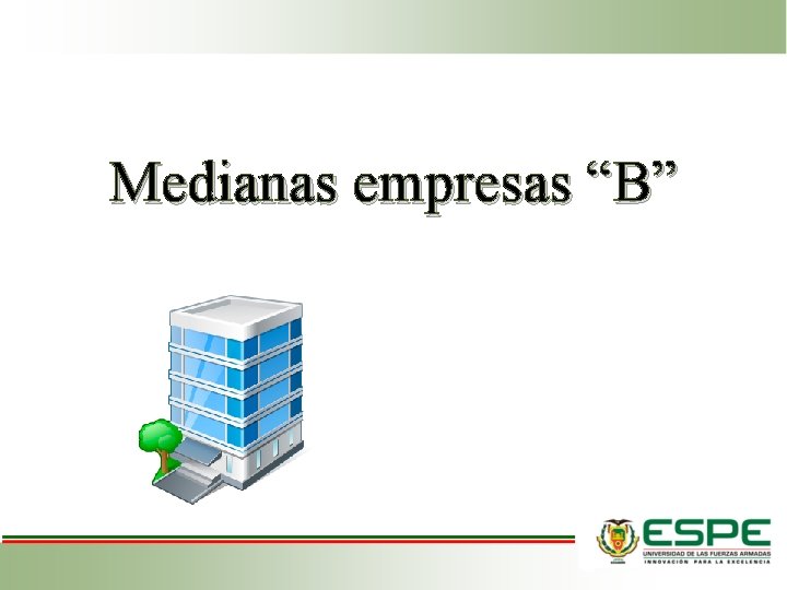 Medianas empresas “B” 