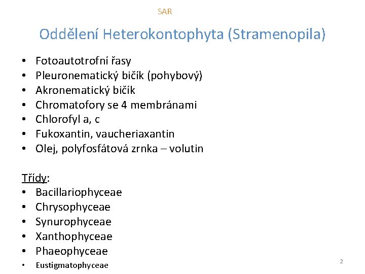 SAR Oddělení Heterokontophyta (Stramenopila) • • Fotoautotrofní řasy Pleuronematický bičík (pohybový) Akronematický bičík Chromatofory