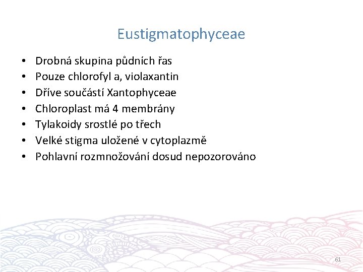 Eustigmatophyceae • • Drobná skupina půdních řas Pouze chlorofyl a, violaxantin Dříve součástí Xantophyceae