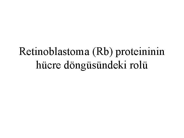 Retinoblastoma (Rb) proteininin hücre döngüsündeki rolü 