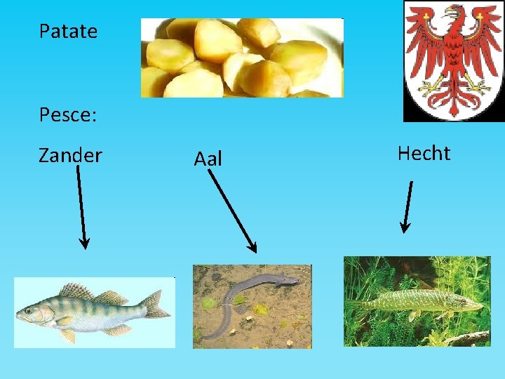 Patate Pesce: Zander Aal Hecht 