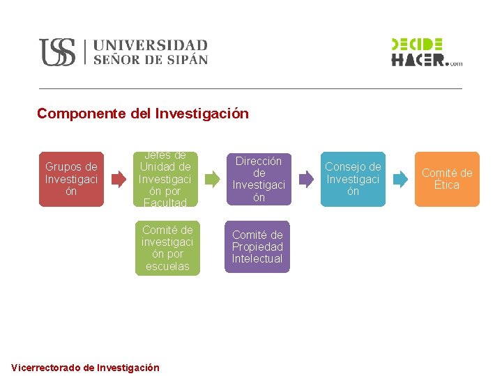 Componente del Investigación Grupos de Investigaci ón Jefes de Unidad de Investigaci ón por