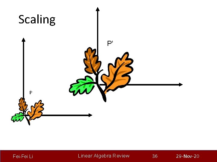 Scaling P’ P Fei-Fei Li Linear Algebra Review 36 29 -Nov-20 