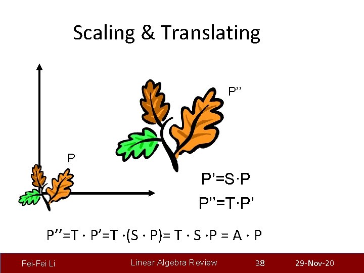 Scaling & Translating P’’ P P’=S∙P P’’=T∙P’ P’’=T ∙ P’=T ∙(S ∙ P)= T