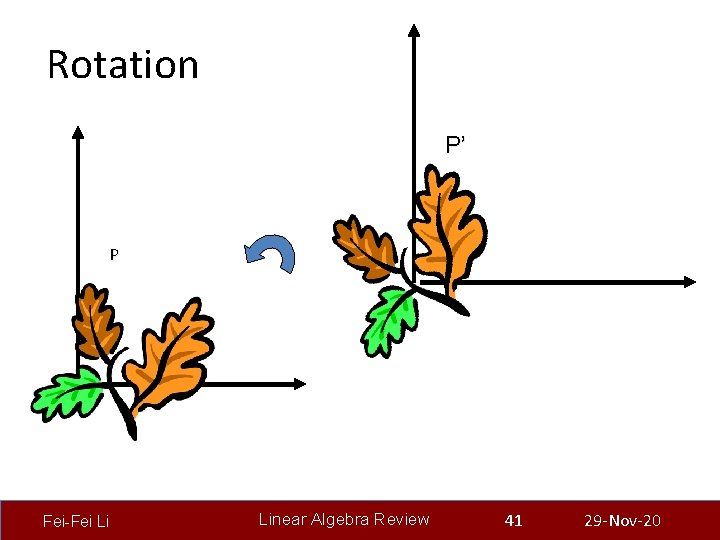 Rotation P’ P Fei-Fei Li Linear Algebra Review 41 29 -Nov-20 