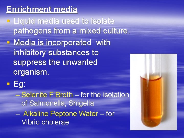 Enrichment media § Liquid media used to isolate pathogens from a mixed culture. §