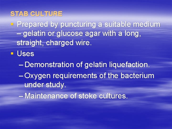 STAB CULTURE § Prepared by puncturing a suitable medium – gelatin or glucose agar