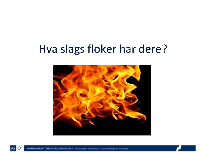 Hva slags floker har dere? 