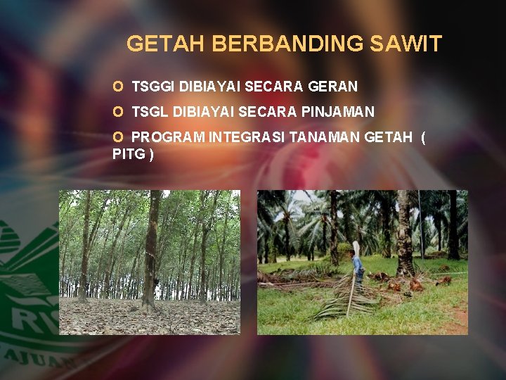 GETAH BERBANDING SAWIT O TSGGI DIBIAYAI SECARA GERAN O TSGL DIBIAYAI SECARA PINJAMAN O