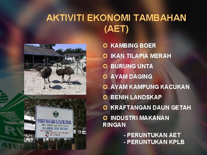 AKTIVITI EKONOMI TAMBAHAN (AET) O KAMBING BOER O IKAN TILAPIA MERAH O BURUNG UNTA