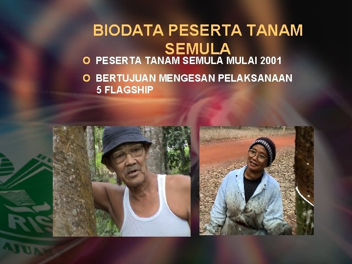 BIODATA PESERTA TANAM SEMULA O PESERTA TANAM SEMULAI 2001 O BERTUJUAN MENGESAN PELAKSANAAN 5