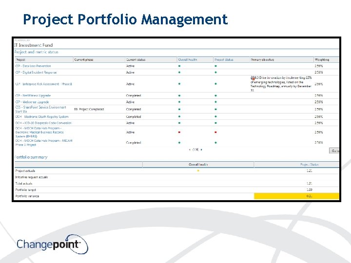 Project Portfolio Management 