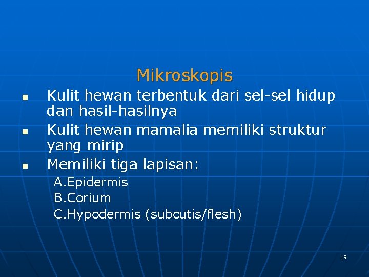 Mikroskopis n n n Kulit hewan terbentuk dari sel-sel hidup dan hasil-hasilnya Kulit hewan