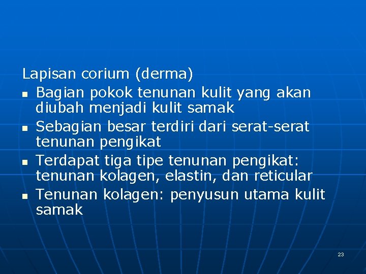 Lapisan corium (derma) n Bagian pokok tenunan kulit yang akan diubah menjadi kulit samak