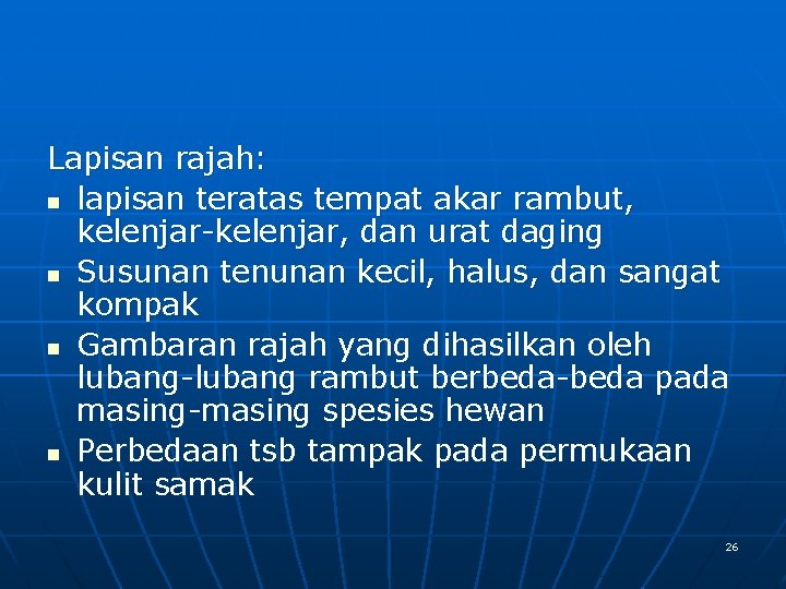 Lapisan rajah: n lapisan teratas tempat akar rambut, kelenjar-kelenjar, dan urat daging n Susunan