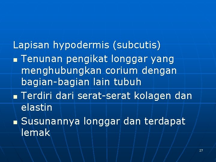 Lapisan hypodermis (subcutis) n Tenunan pengikat longgar yang menghubungkan corium dengan bagian-bagian lain tubuh