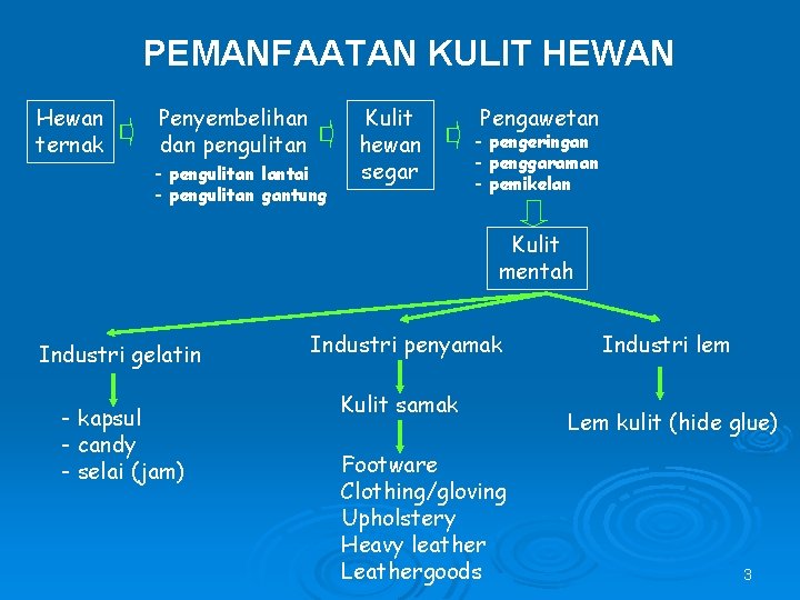 PEMANFAATAN KULIT HEWAN Hewan ternak Penyembelihan dan pengulitan - pengulitan lantai - pengulitan gantung