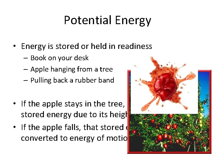 Potential Energy • Energy is stored or held in readiness – Book on your