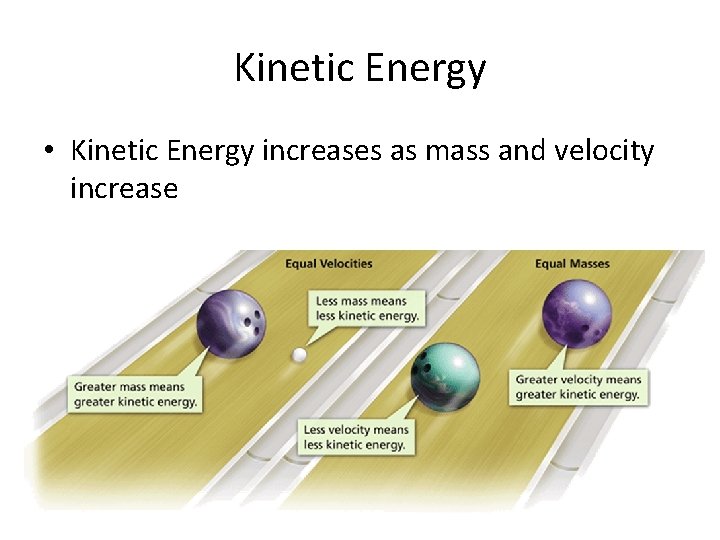 Kinetic Energy • Kinetic Energy increases as mass and velocity increase 