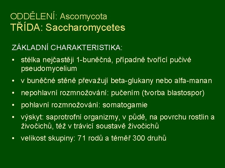 ODDĚLENÍ: Ascomycota TŘÍDA: Saccharomycetes ZÁKLADNÍ CHARAKTERISTIKA: • stélka nejčastěji 1 -buněčná, případně tvořící pučivé