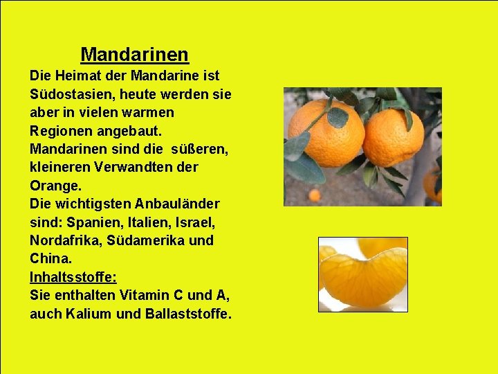 Mandarinen Die Heimat der Mandarine ist Südostasien, heute werden sie aber in vielen warmen