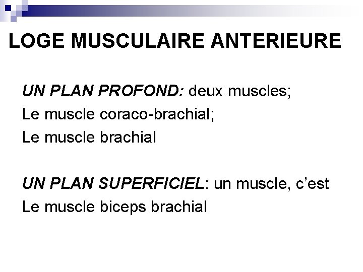 LOGE MUSCULAIRE ANTERIEURE UN PLAN PROFOND: deux muscles; Le muscle coraco-brachial; Le muscle brachial