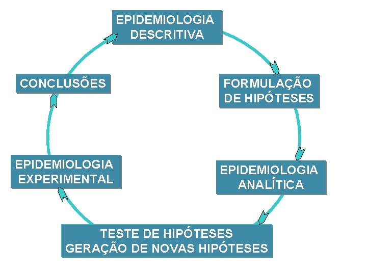 EPIDEMIOLOGIA DESCRITIVA CONCLUSÕES FORMULAÇÃO DE HIPÓTESES EPIDEMIOLOGIA EXPERIMENTAL EPIDEMIOLOGIA ANALÍTICA TESTE DE HIPÓTESES GERAÇÃO