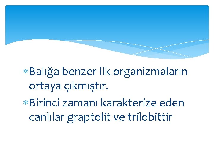  Balığa benzer ilk organizmaların ortaya çıkmıştır. Birinci zamanı karakterize eden canlılar graptolit ve