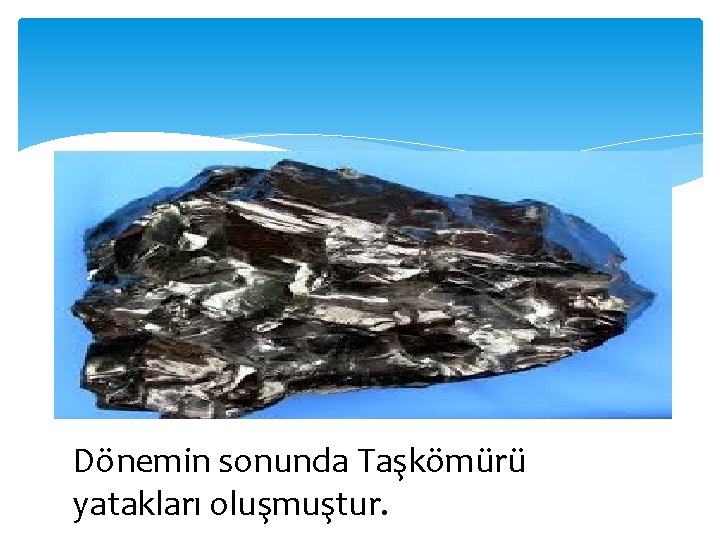 Dönemin sonunda Taşkömürü yatakları oluşmuştur. 