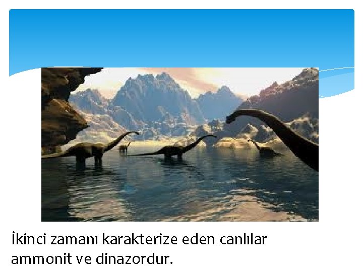 İkinci zamanı karakterize eden canlılar ammonit ve dinazordur. 