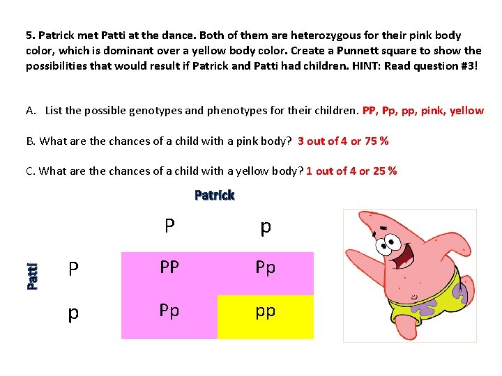 5. Patrick met Patti at the dance. Both of them are heterozygous for their