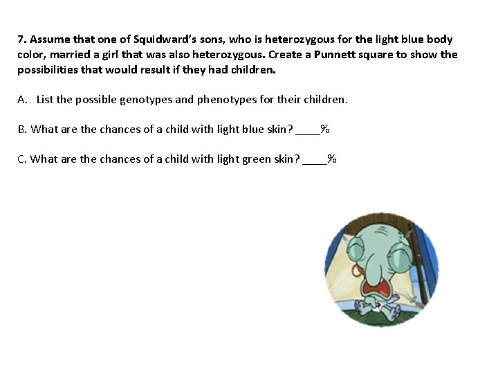 7. Assume that one of Squidward’s sons, who is heterozygous for the light blue