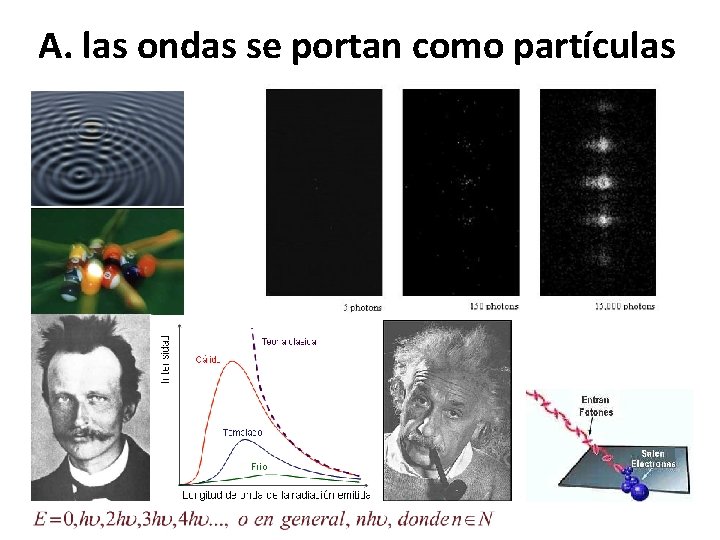A. las ondas se portan como partículas 