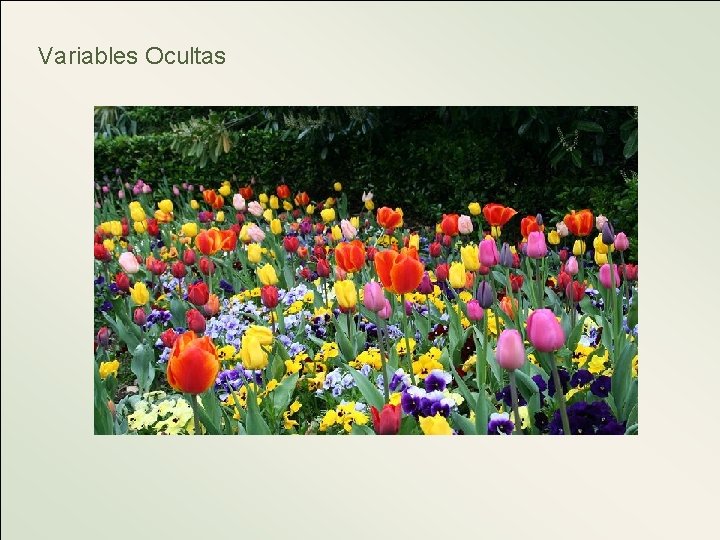 Variables Ocultas 