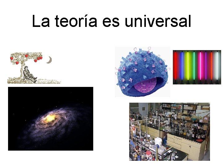 La teoría es universal 