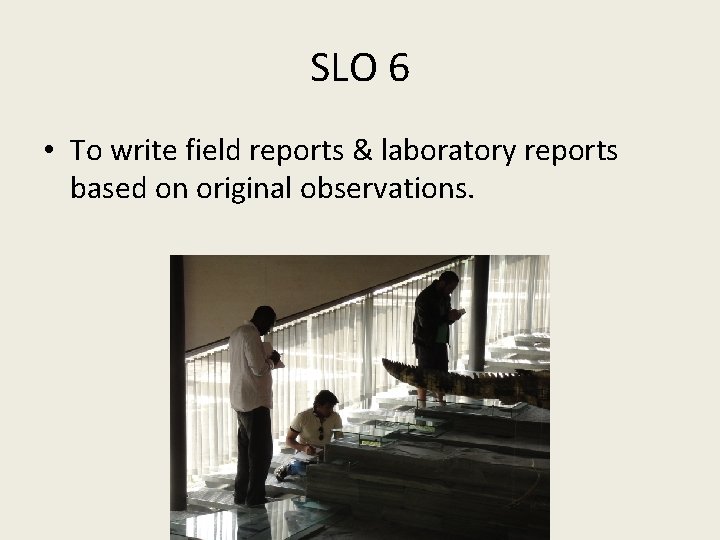 SLO 6 • To write field reports & laboratory reports based on original observations.