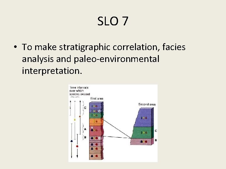 SLO 7 • To make stratigraphic correlation, facies analysis and paleo-environmental interpretation. 