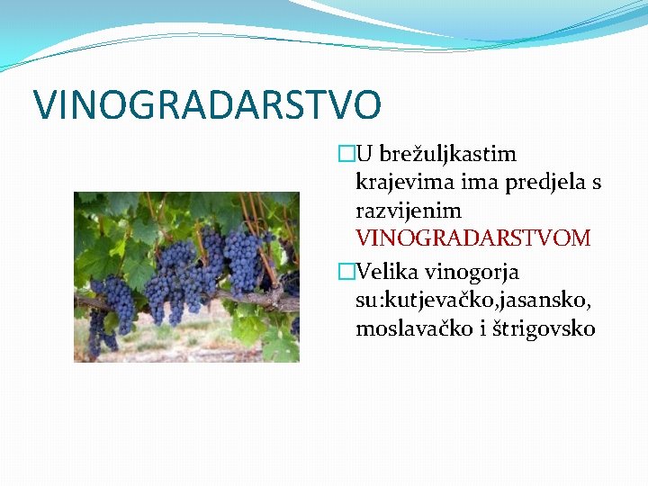 VINOGRADARSTVO �U brežuljkastim krajevima predjela s razvijenim VINOGRADARSTVOM �Velika vinogorja su: kutjevačko, jasansko, moslavačko