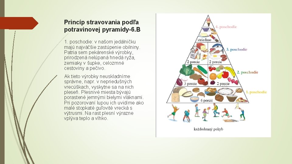 Princíp stravovania podľa potravinovej pyramídy-6. B 1. poschodie: v našom jedálničku majú najväčšie zastúpenie