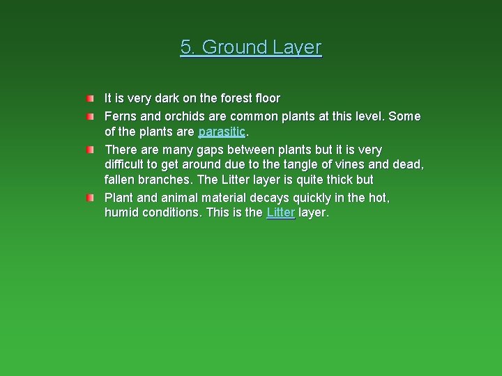 5. Ground Layer It is very dark on the forest floor Ferns and orchids 5. Ground Layer It is very dark on the forest floor Ferns and orchids