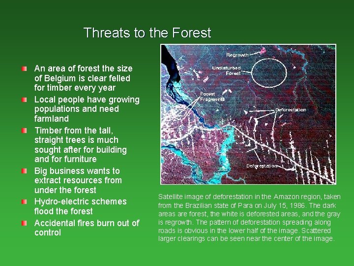 Threats to the Forest An area of forest the size of Belgium is clear Threats to the Forest An area of forest the size of Belgium is clear