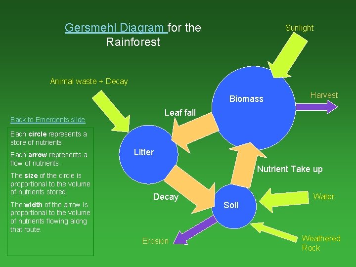 Gersmehl Diagram for the Rainforest Sunlight Animal waste + Decay Biomass Harvest Leaf fall